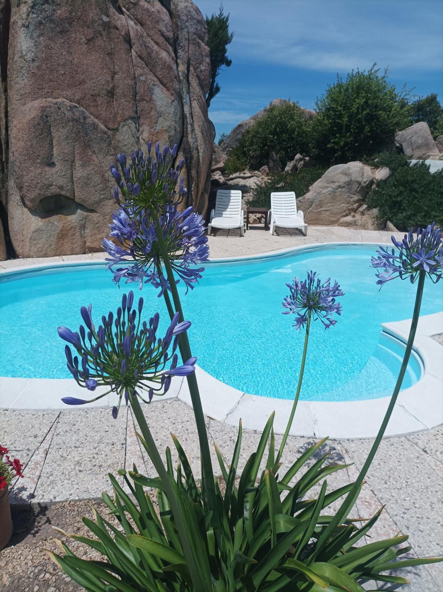 Villa Majore Beb Con Piscina Privata 레나 마조레 외부 사진
